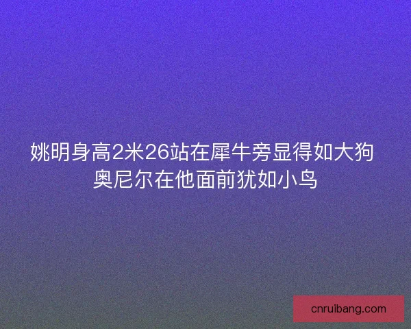 姚明身高2米26站在犀牛旁显得如大狗 奥尼尔在他面前犹如小鸟